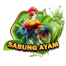 sabung ayam
